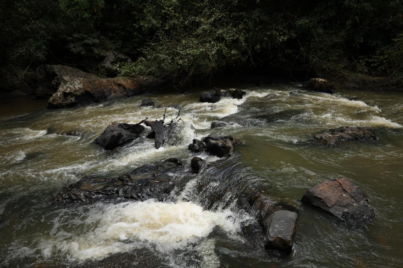 Avadale Coorg - Stag Groups Not Allowed Ammatti 외부 사진