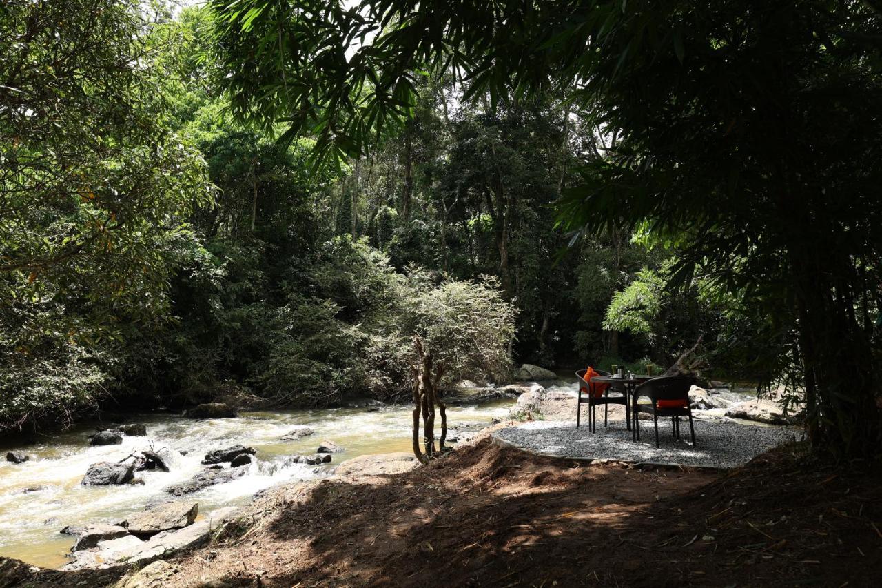 Avadale Coorg - Stag Groups Not Allowed Ammatti 외부 사진