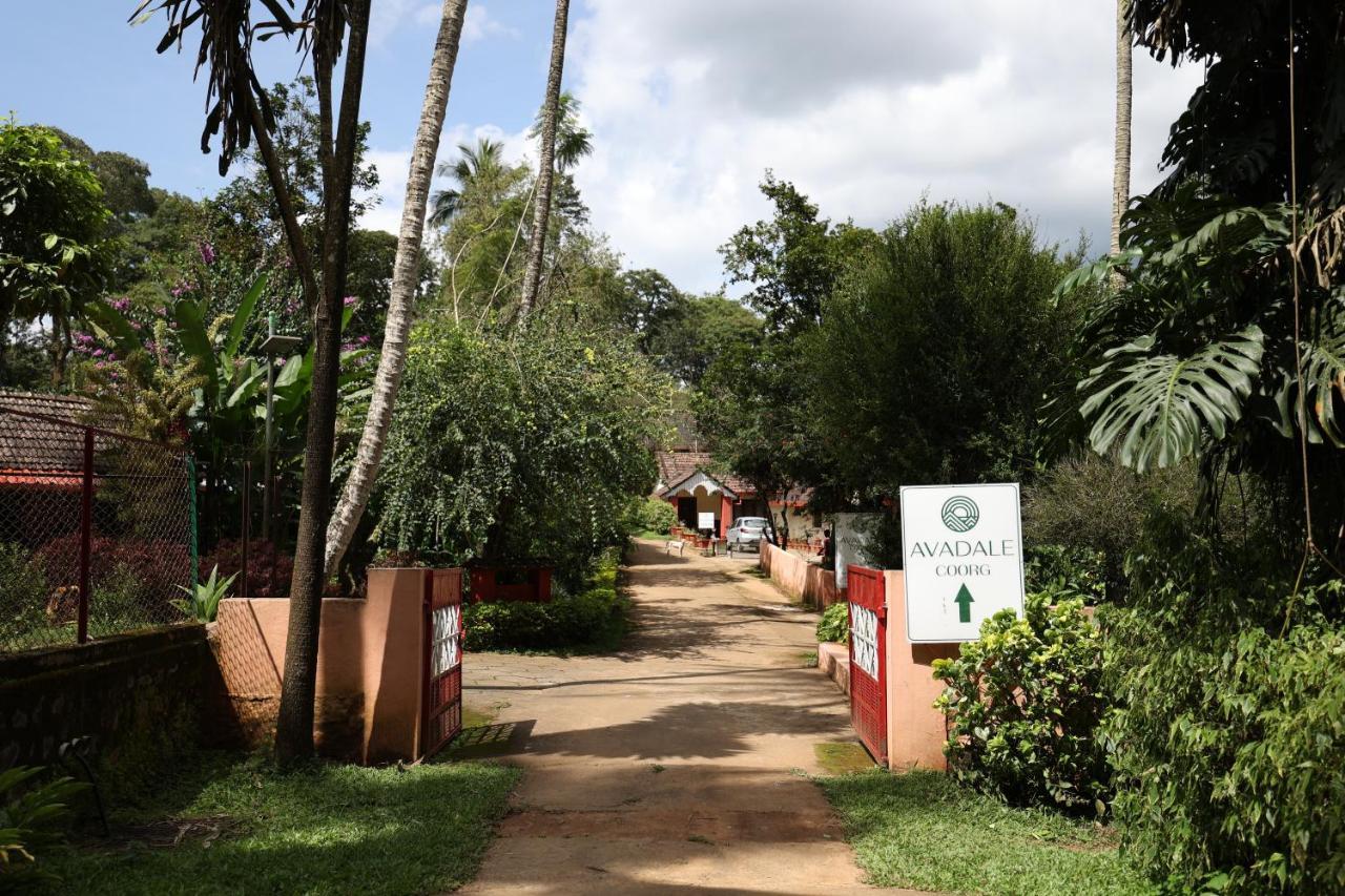 Avadale Coorg - Stag Groups Not Allowed Ammatti 외부 사진
