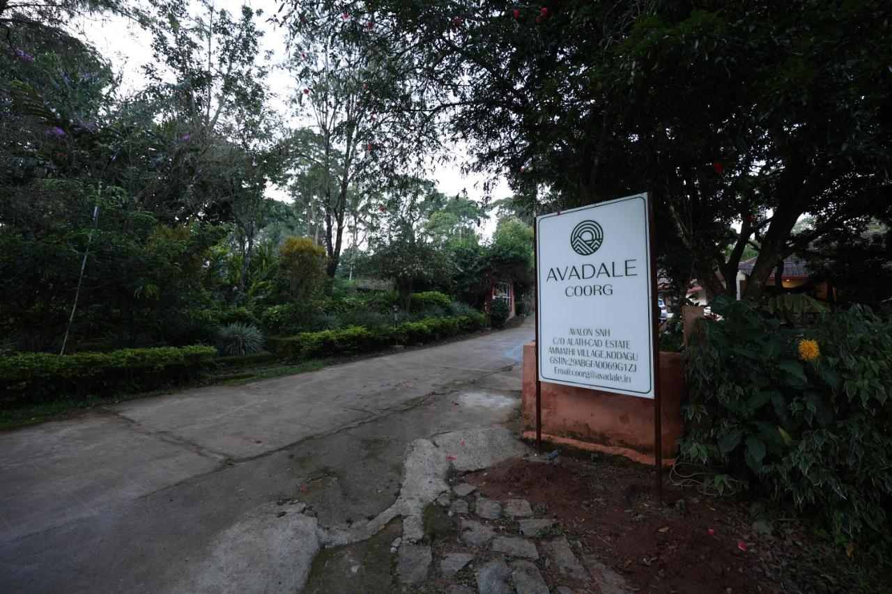 Avadale Coorg - Stag Groups Not Allowed Ammatti 외부 사진